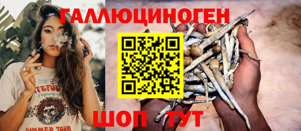 Псилоцибиновые грибы MAGIC MUSHROOMS Гурьевск